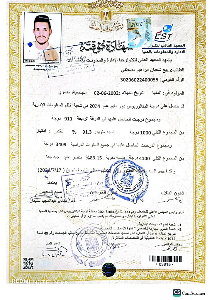 Bachelor's in Management Information Systems (MIS)